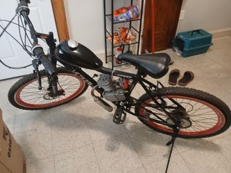 21 speed 2 stroke motor