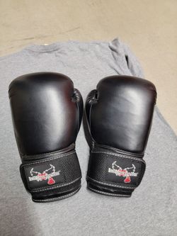 Boxing gloves
