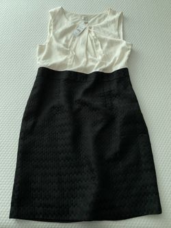 New Loft Dress. Size 14. 