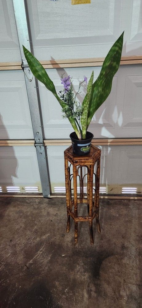 Bamboo Plant 🪴 Stand. 26" Tall. $35 Or Best Offer 