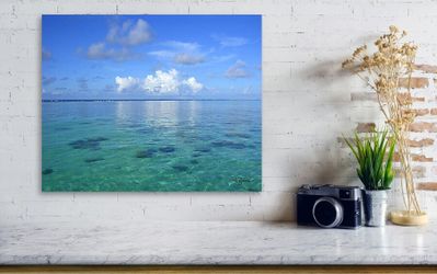 George Zucconi Reef Painting