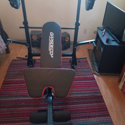 Weight Bench Set( 4x25lbs + 2 X20lb +2x10llbs)