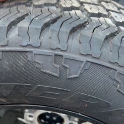 Rims and Tires 