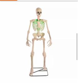 6.5 Foot App Controlled Halloween Skeleton - New in Box