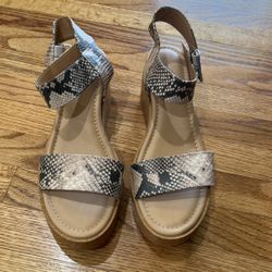 Woman shoe