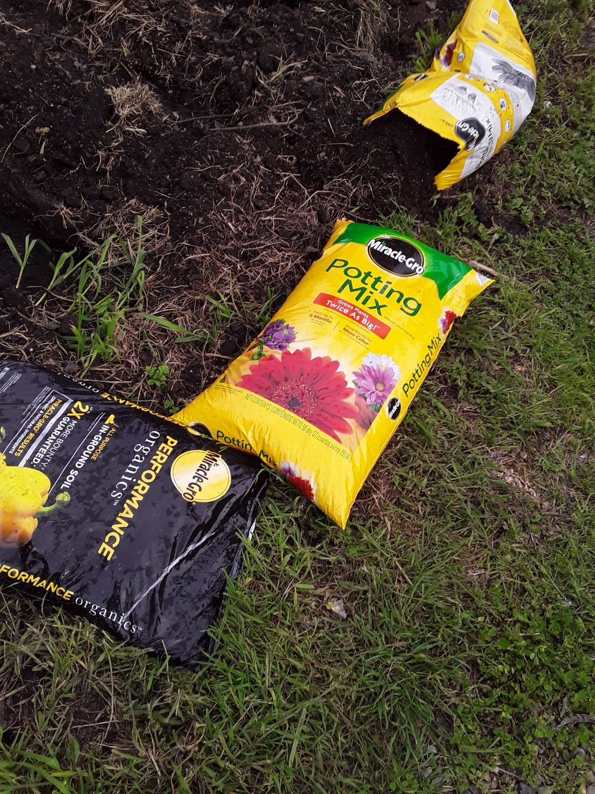 Soil big yellow bags or black organic bags for Sale in Sacramento, CA