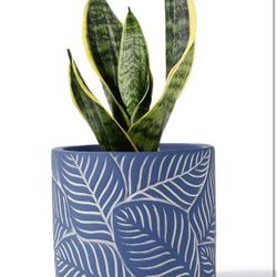 Cement Planter Flower Pot - 4.8" Vintage Indoor Plants Containers Unglazed Medium Bonsai with Drain Hole - Navy, Leaves Embossment