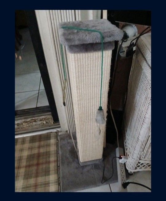 Para Gato