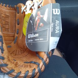 Softball Glove