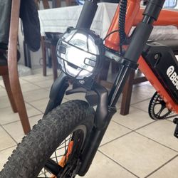 QBear Electric Bike 