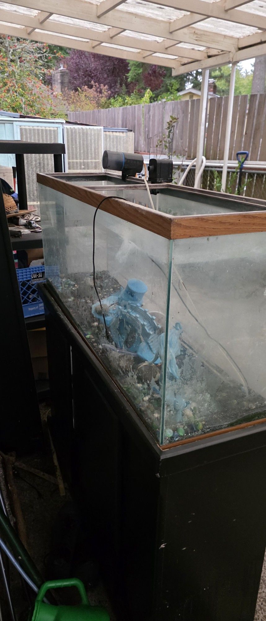 Free Fish Tank