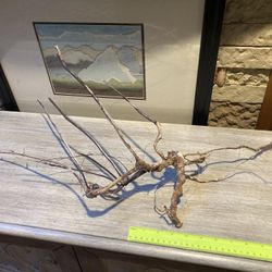 Reptile/Aquarium Decor