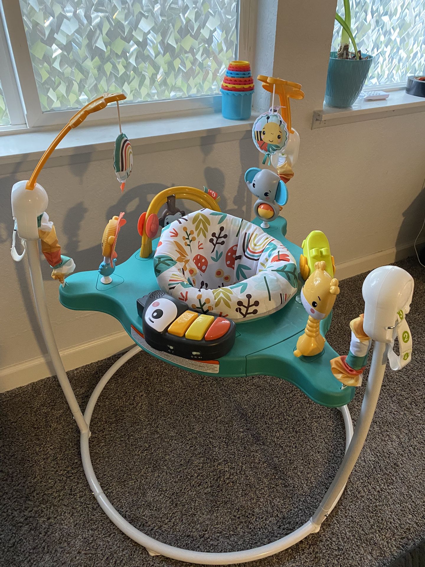 Baby Bouncer