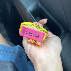 4 Day GA LOLLAPALOOZA 