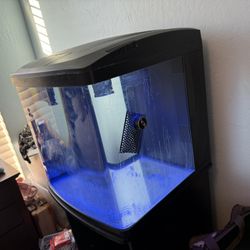 Saltwater 32 Gallon Fish Tank 