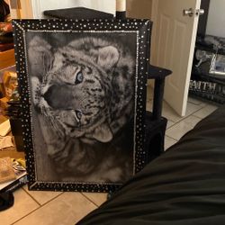 A tiger picture really good