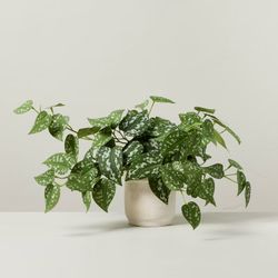 Brand new 10" Faux Satin Variegated Pothos Plant - Hearth & Hand with Magnolia: Indoor Decorative A