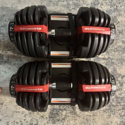 BoFlex tech dumbbells 552