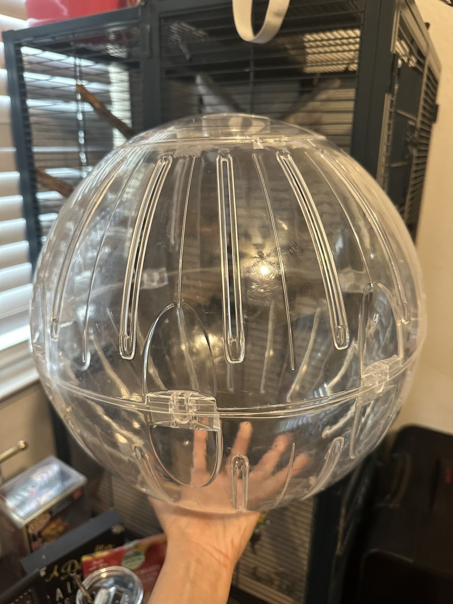 Run-about Ball