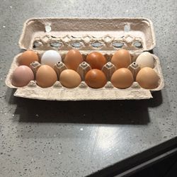 Huevos De Gallina / Farm Eggs 