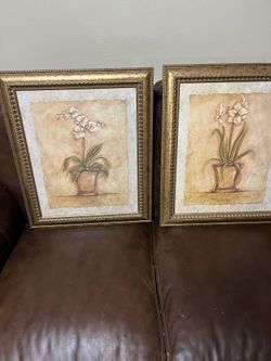 Plant Painting