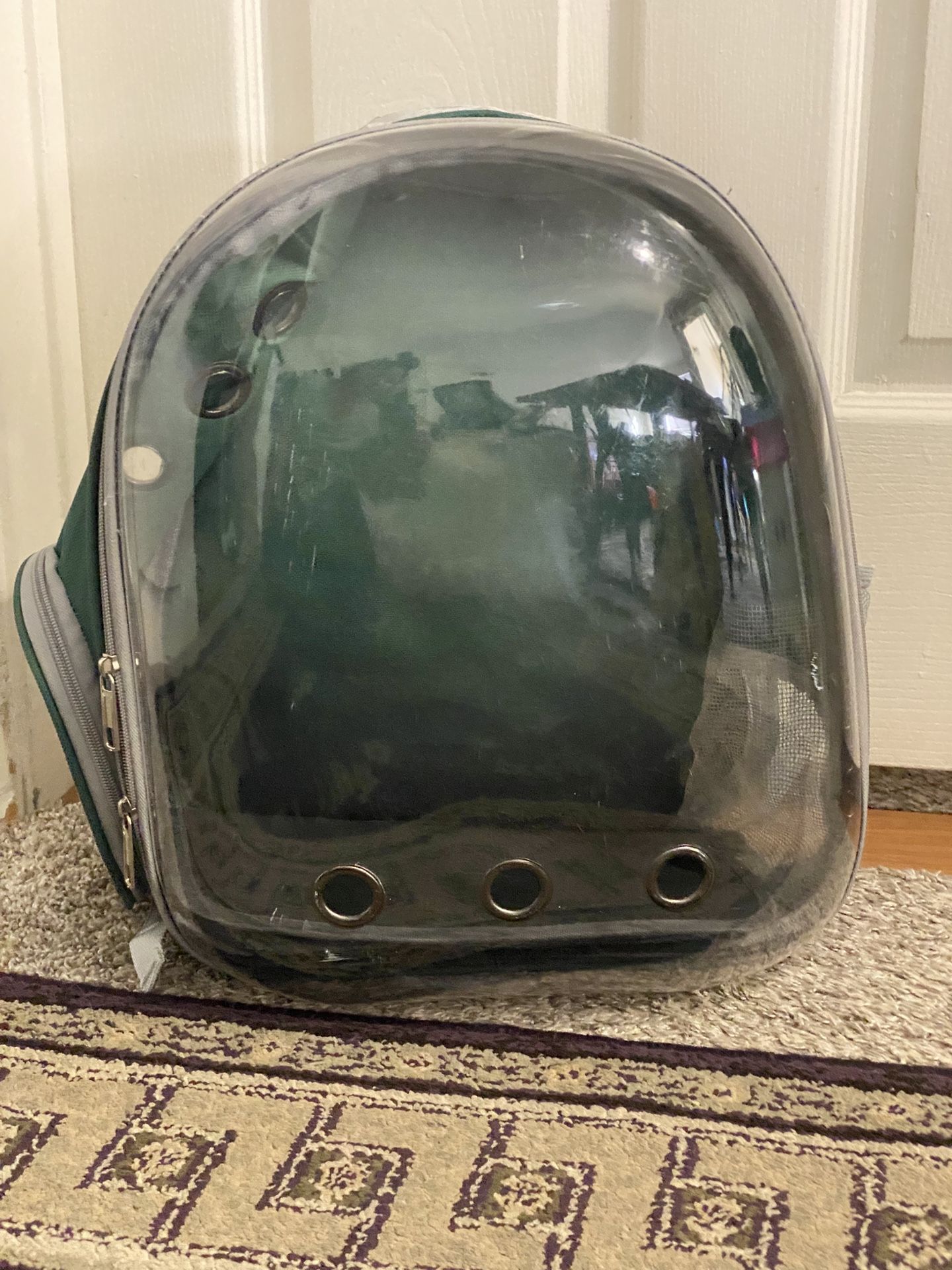 Green Shell Backpack Pet Carrier 