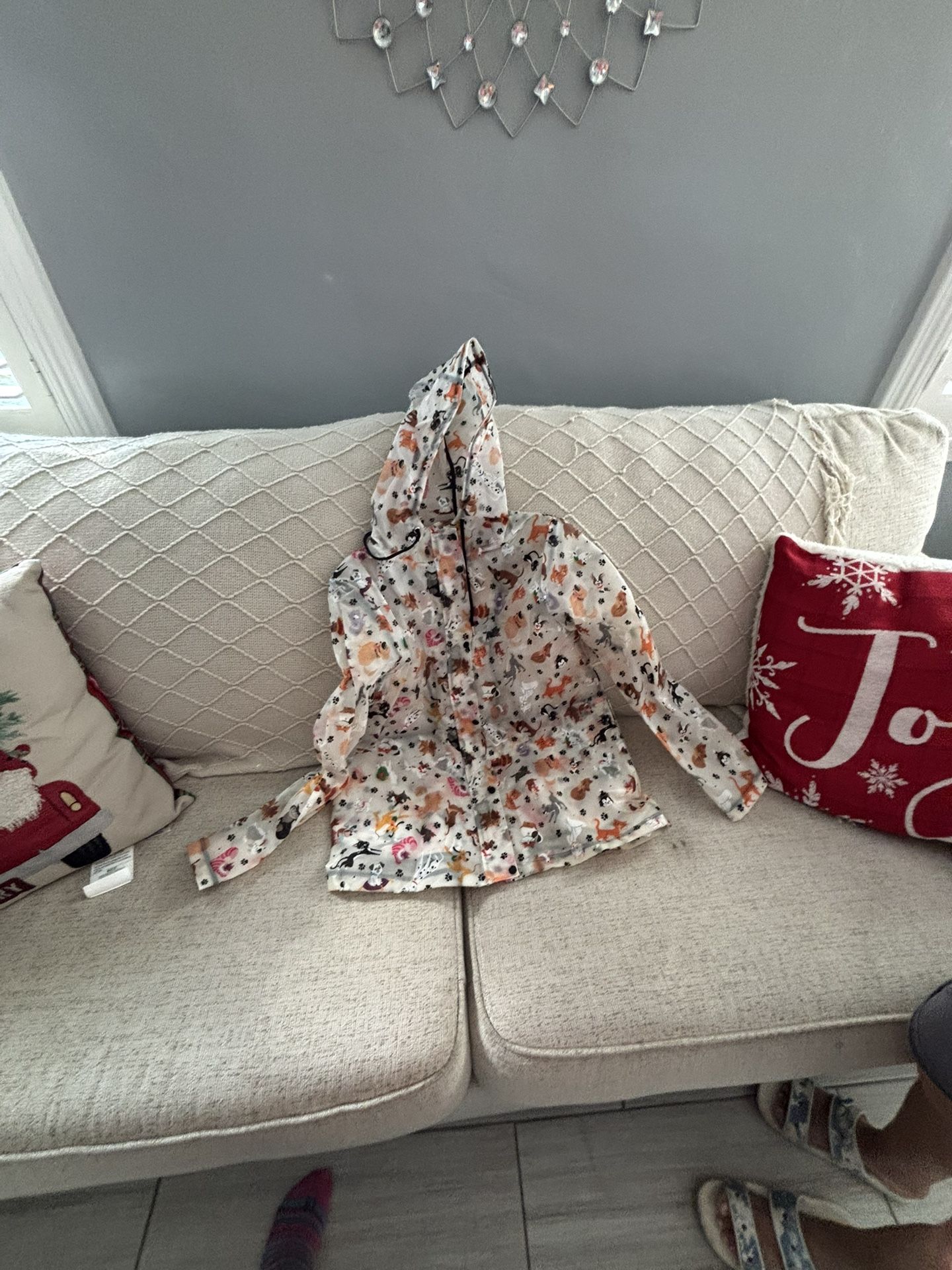 Disneyland Raincoat-Raining Cats And Dogs