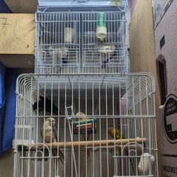 Large bird cages Sun Conure and Green Cheek 
