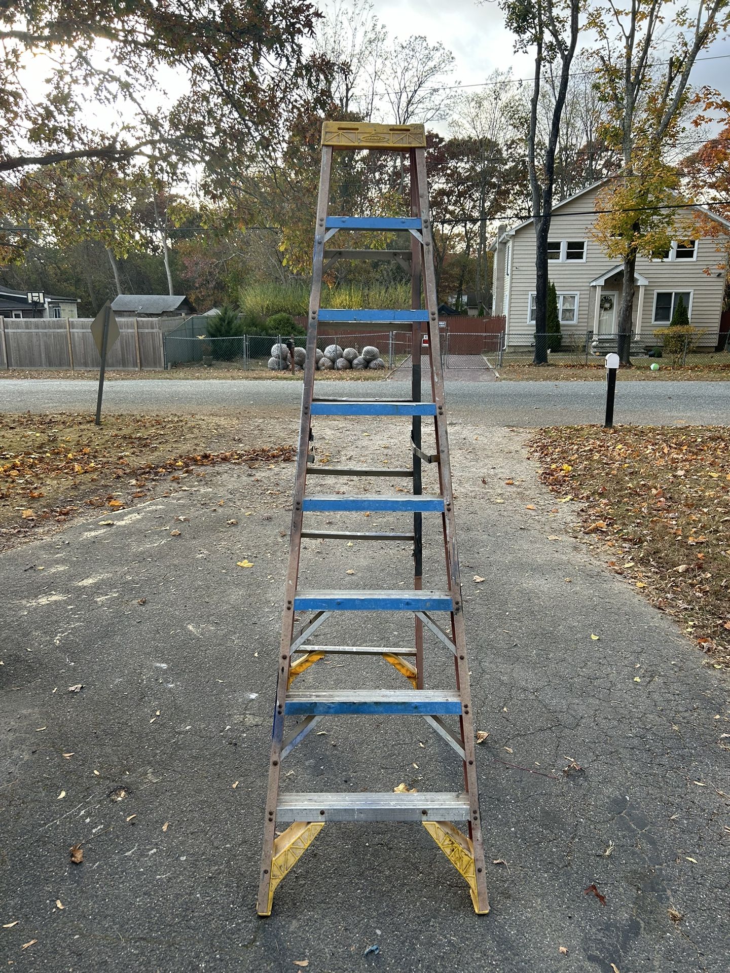 8 foot ladder