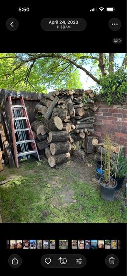 Good quality wood about two trucks loads