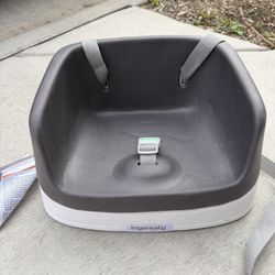 Ingenuity Booster Seat
