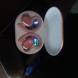 ROHS earbuds