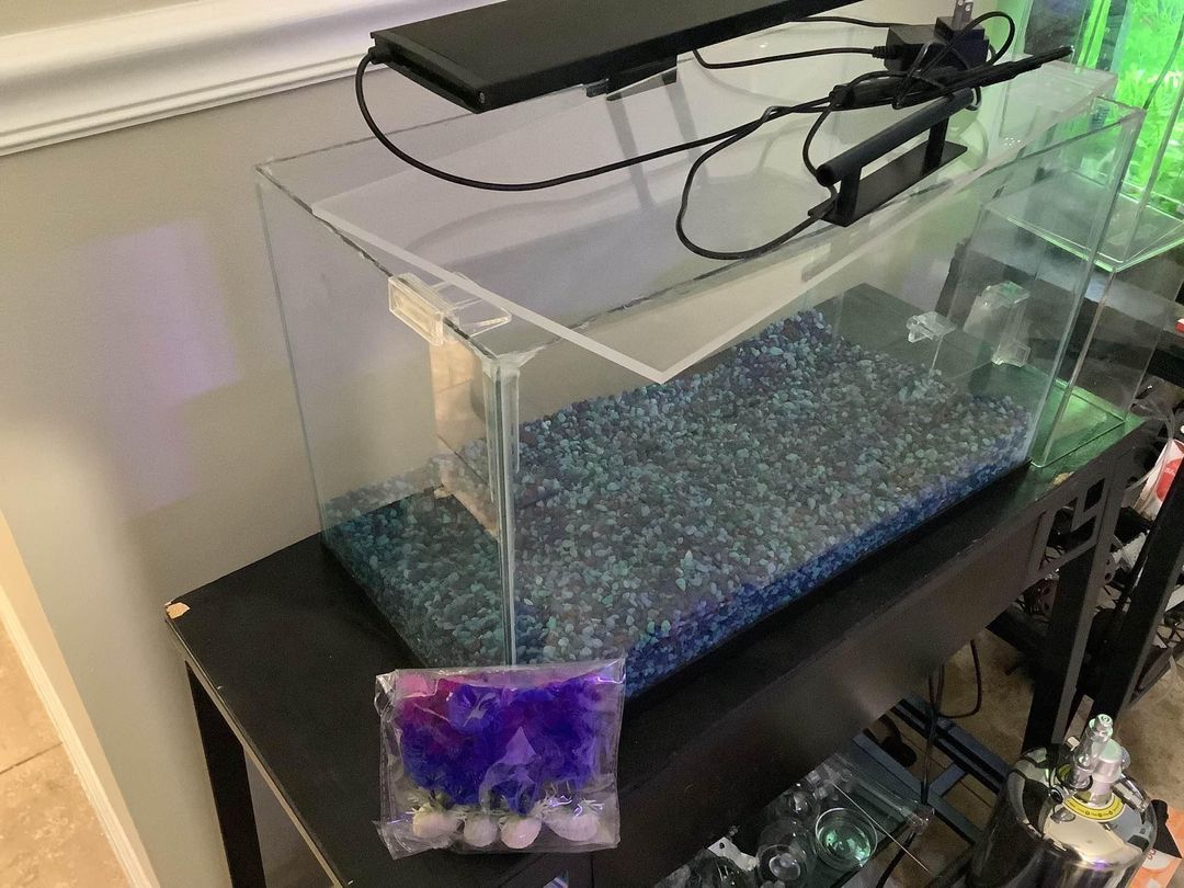 10Gal Rimless Fish Tank Aquarium HUGE Bundle DIY C02 Filters Heater Air Pump Gravel Stone Decoration