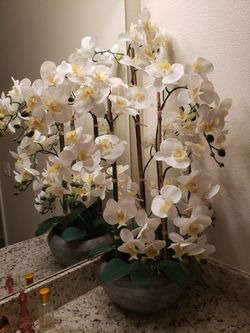 BEAUTIFUL  HUGE ORQUID ARRANGEMENT!!!