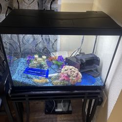 Set Of Fish Aquarium, 20 Gallon Fish Tank, With Table And All Necessary Items