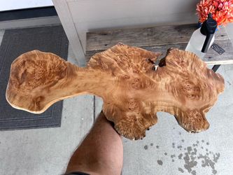Curved maple Burl