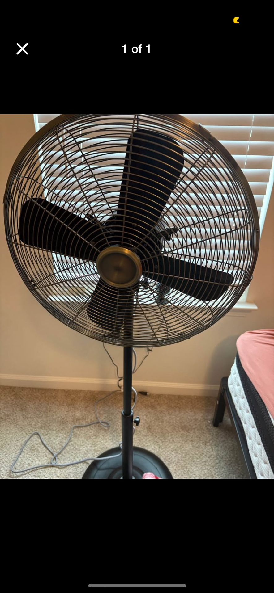 Fan