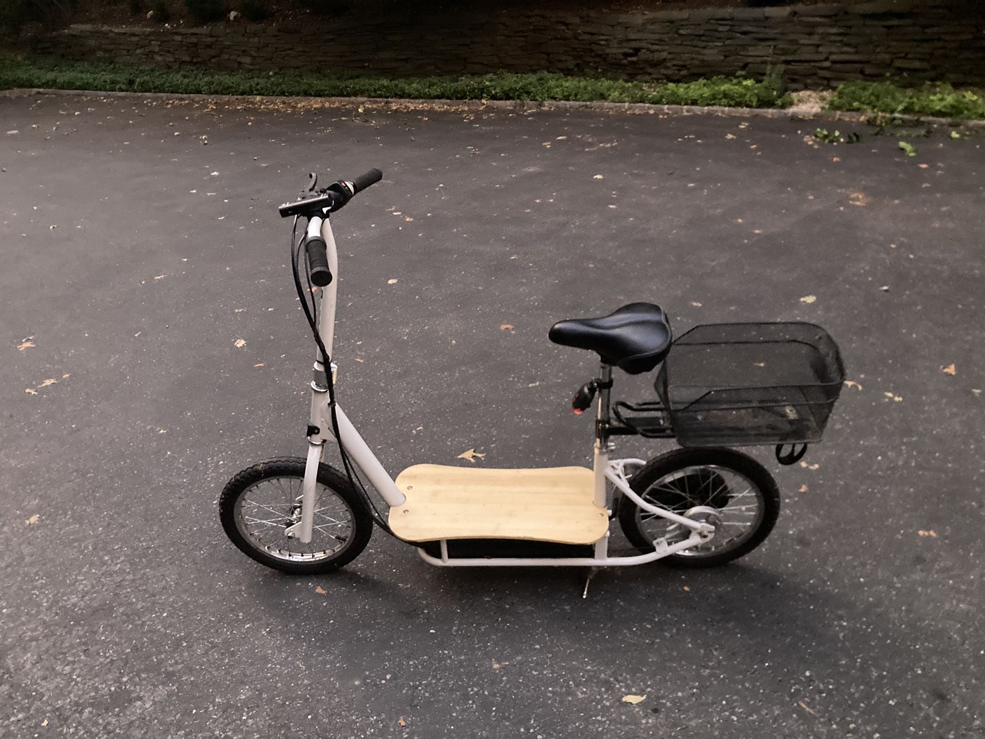 Electric Scooter Razor Eco Metro