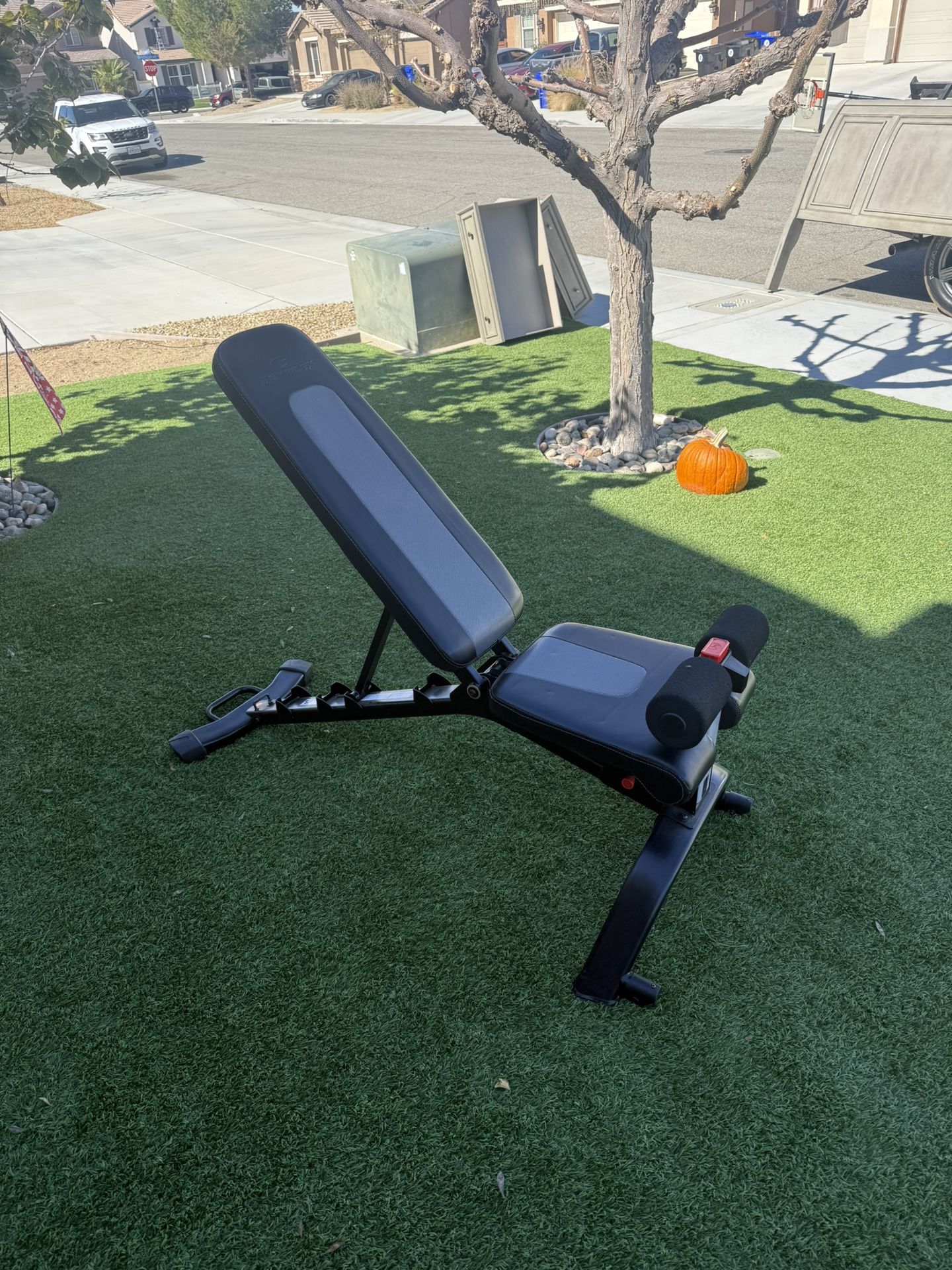 BowFlex 5.1S Adjustable Weight Bench