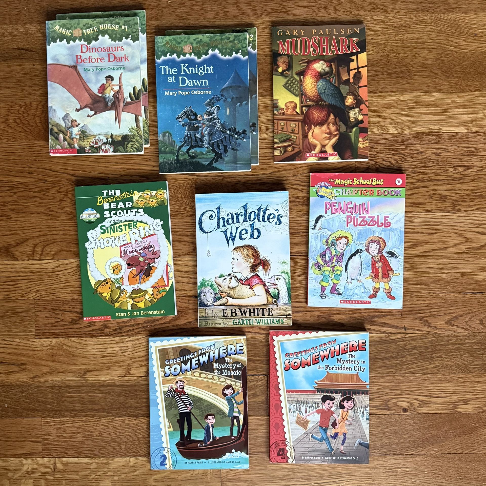 Kids Chapter Book Bundle