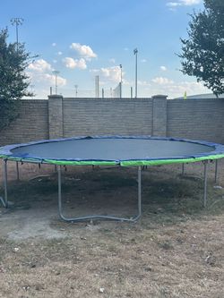 Tramp