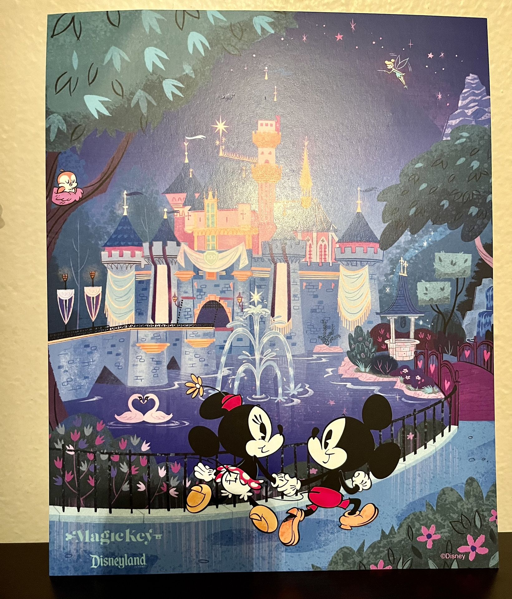Disneyland Magic Key Print