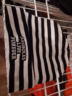 Assholes Live Forever Striped Beanie