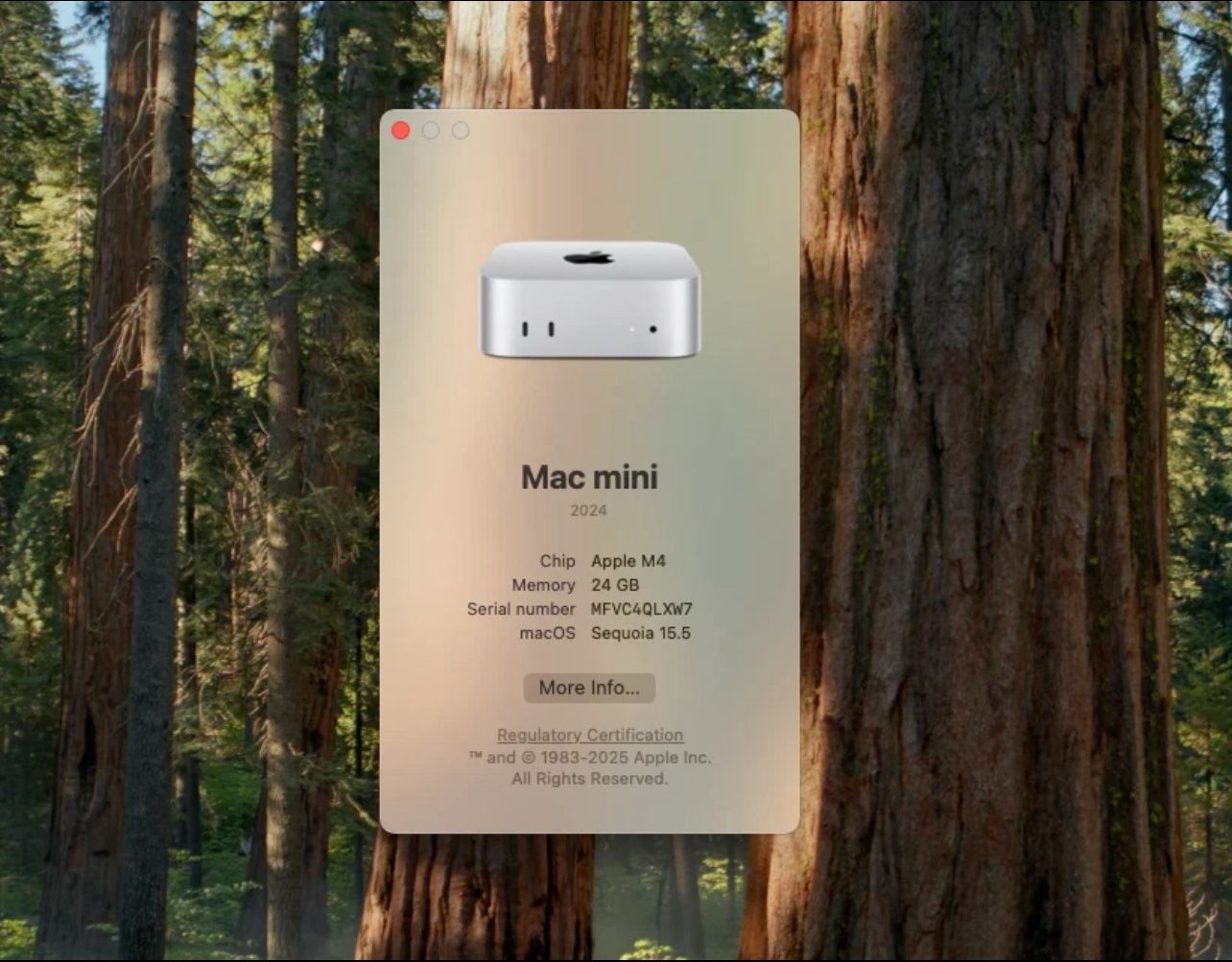 2024 Apple Mac Mini M4 2TB 24GB Factory Upgraded