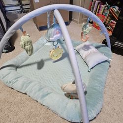 Ingenuity Plush Activity Mat