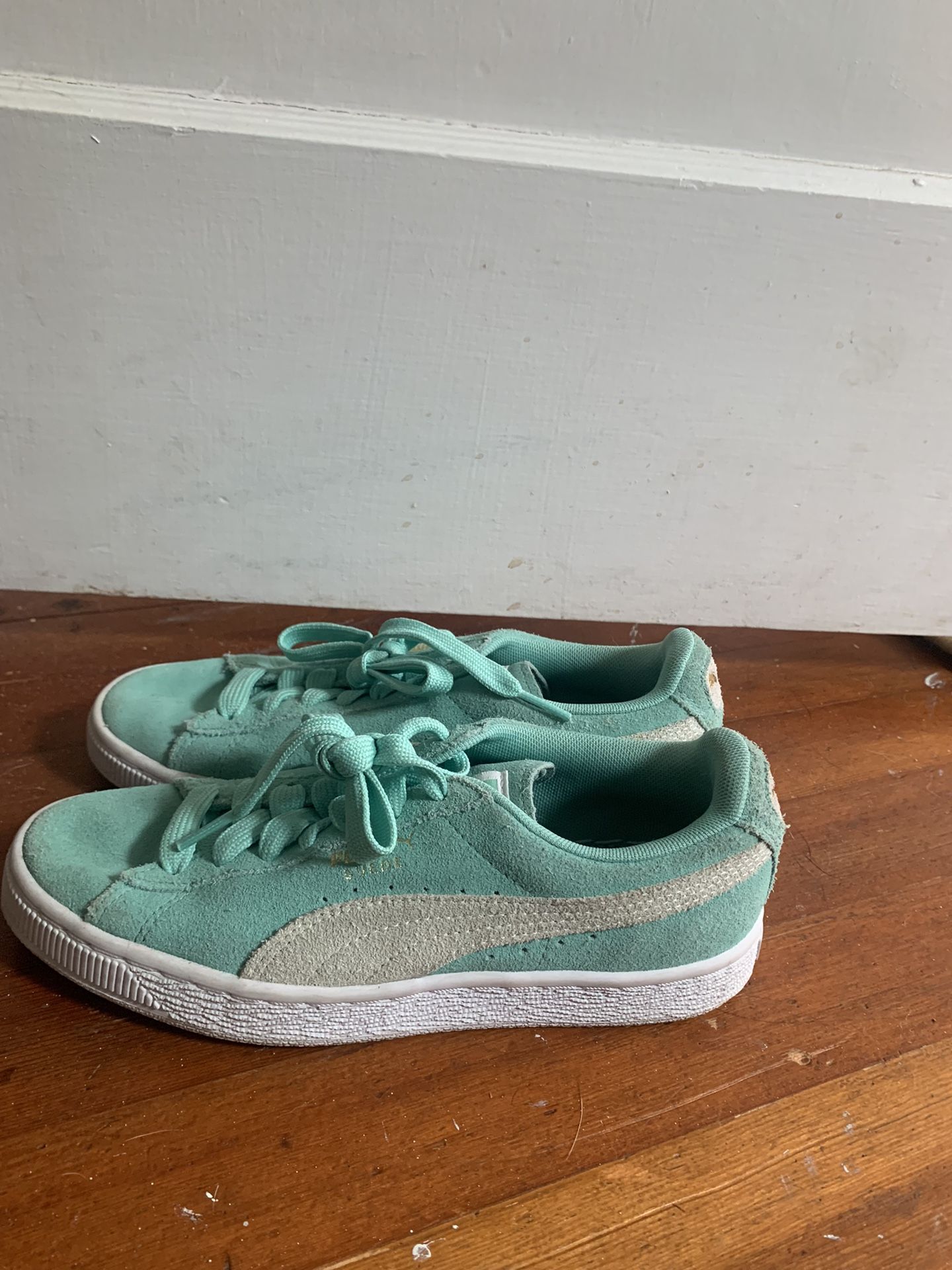 Teal Puma