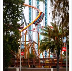Knotts tickets