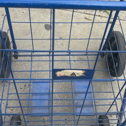 Large Shopping Cart-$17 - Works Great 