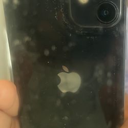 iPhone 12 Mini 