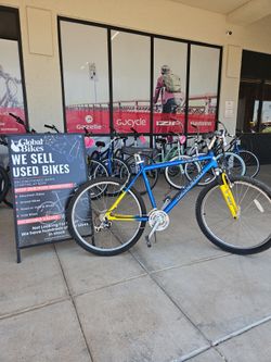 Mountain Bike Raleigh M55 mtb